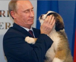 Путин объявил конкурс на имя для своего щенка Путин объявил конкурс на имя для своего щенка